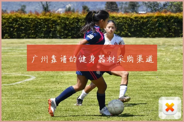 广州靠谱的健身器材采购渠道