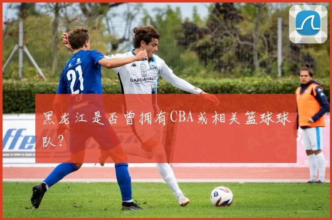 黑龙江是否曾拥有CBA或相关篮球球队？