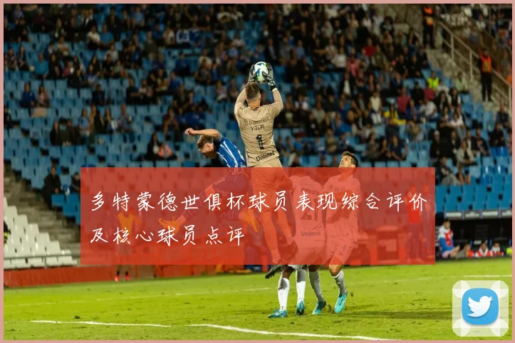 多特蒙德世俱杯球员表现综合评价及核心球员点评