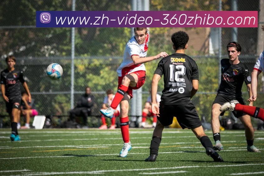 多媒体互动体验